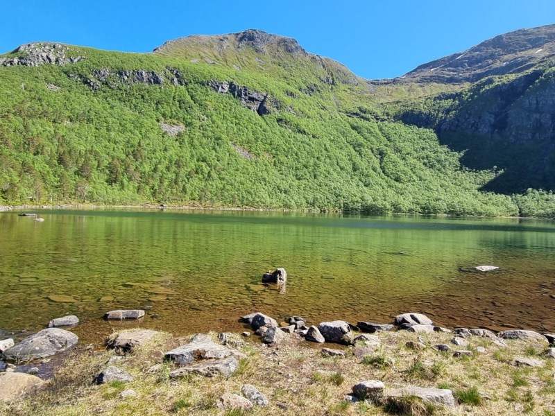 Hældalsvatnet – Sandneslia v/&nbsp;Nåsvatnet