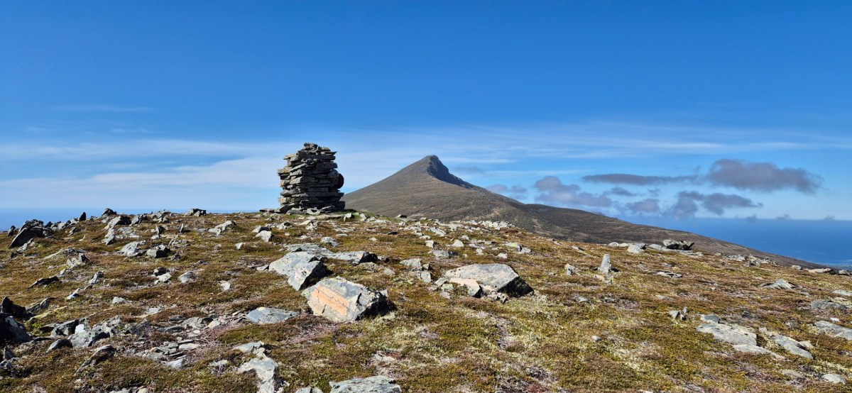 Bolliklumpen – Bollia